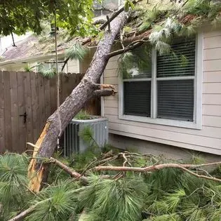 A tree has fallen on the roof of a house.