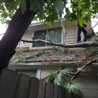 A man is standing on the roof of a house with a tree branch hanging from it.