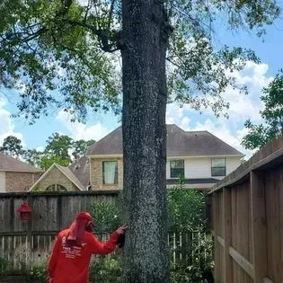 A man is standing next to a large tree in front of a house.