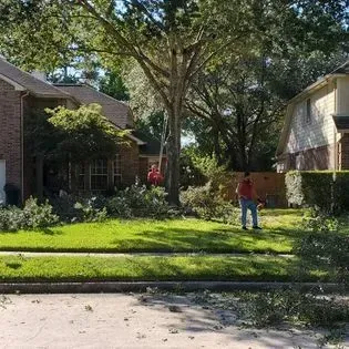 A man is cutting a tree in front of a house.