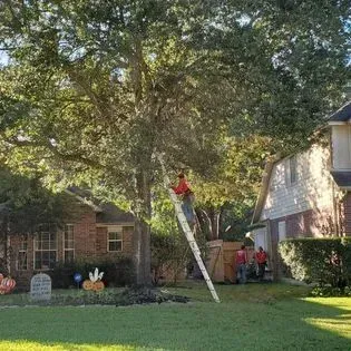 A man is standing on a ladder cutting a tree in front of a house.