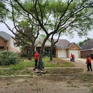 A group of men are standing in front of a house cutting trees.