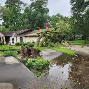 A tree has fallen on the roof of a house.