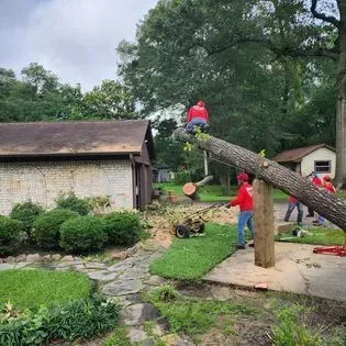 A group of people are cutting down a tree in front of a house.