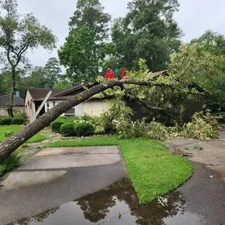 A tree has fallen on the roof of a house.