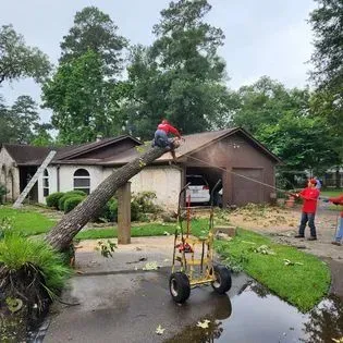 A man is cutting down a tree in front of a house.