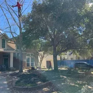A man is climbing a tree in front of a house.