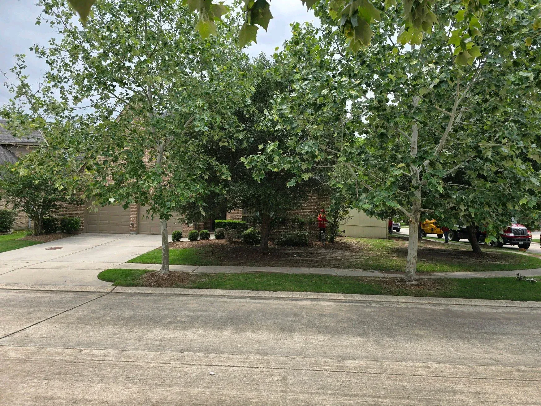 A house with a lot of trees in front of it