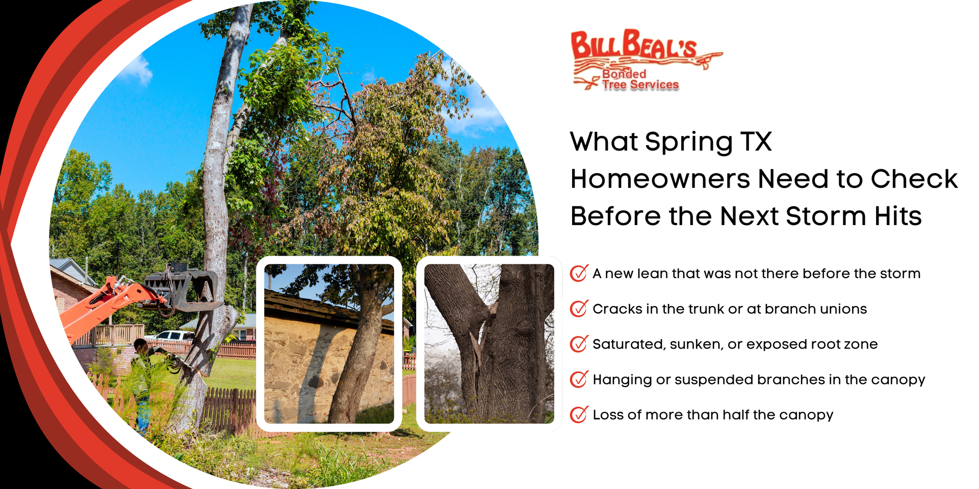 Untrimmed trees cost more than trimmed ones; fallen tree beside house with phone number and logo Spring storm home checklist flyer with trees, roof damage, and text about preparing before the next storm hits