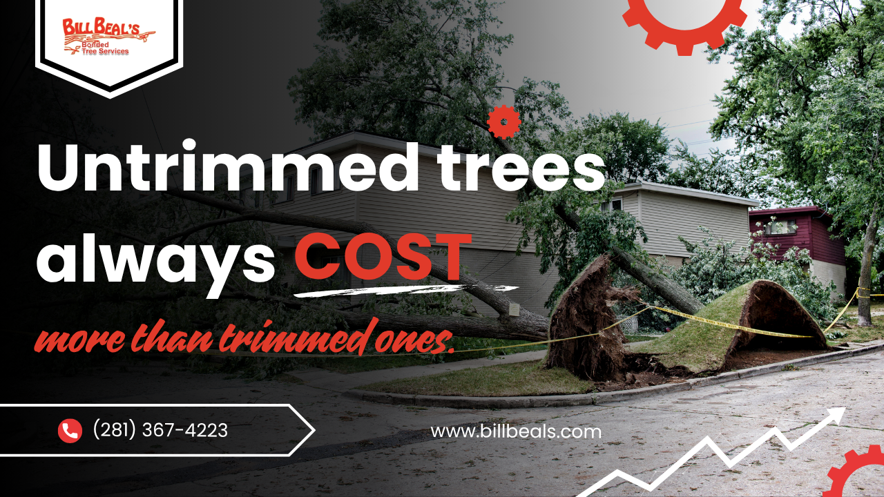 Untrimmed trees cost more than trimmed ones; fallen tree beside house with phone number and logo Untrimmed trees cost more than trimmed ones; fallen tree beside house with phone number and logo