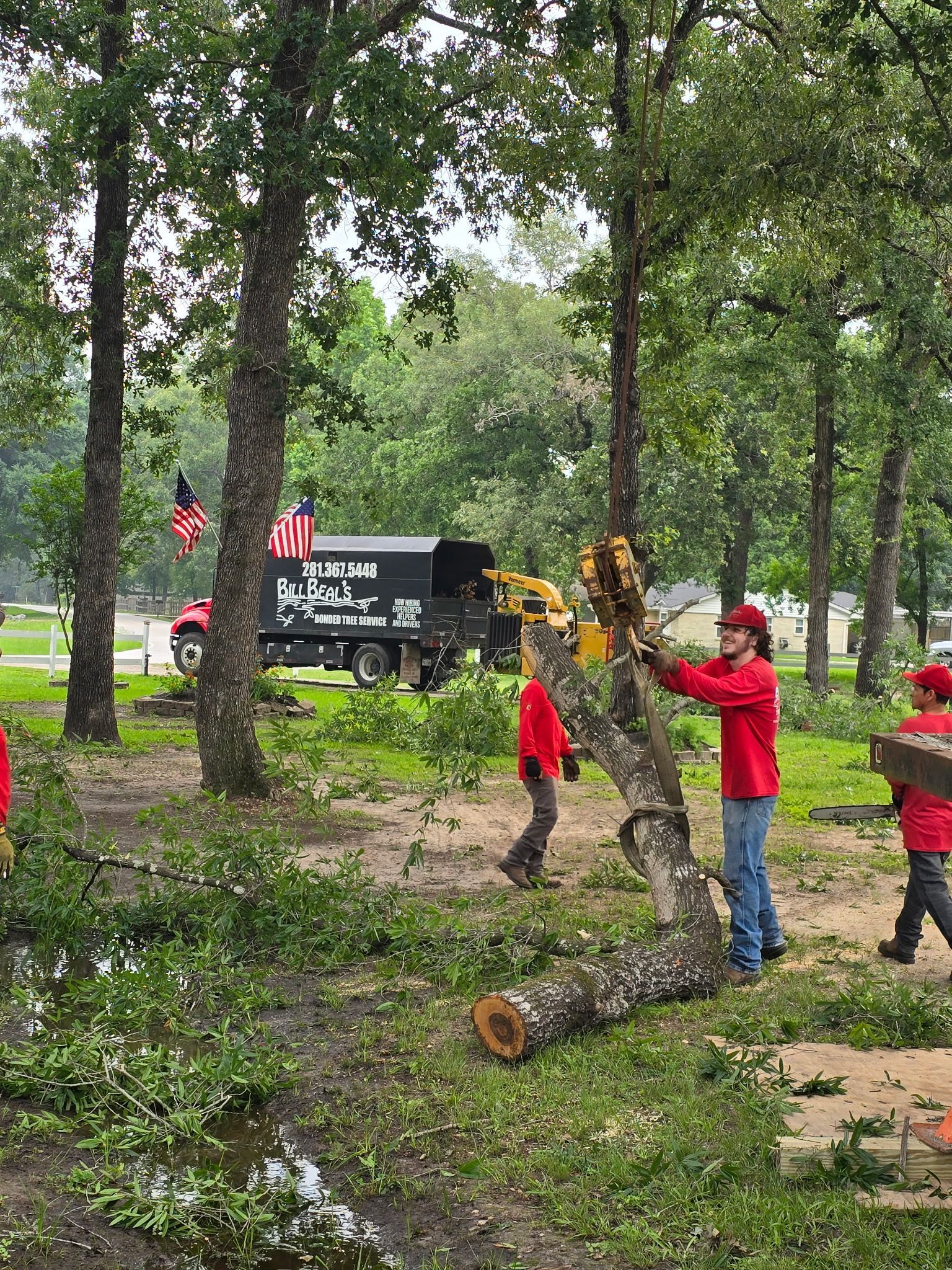 A group of people are working on a tree in front of a house.