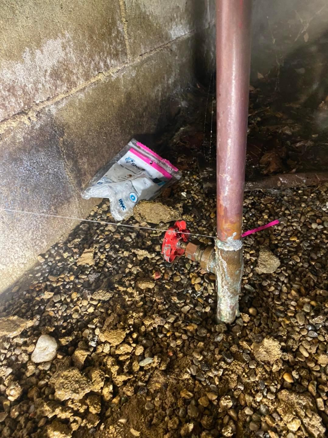 Professional Plumbers  in Johnson County, IN