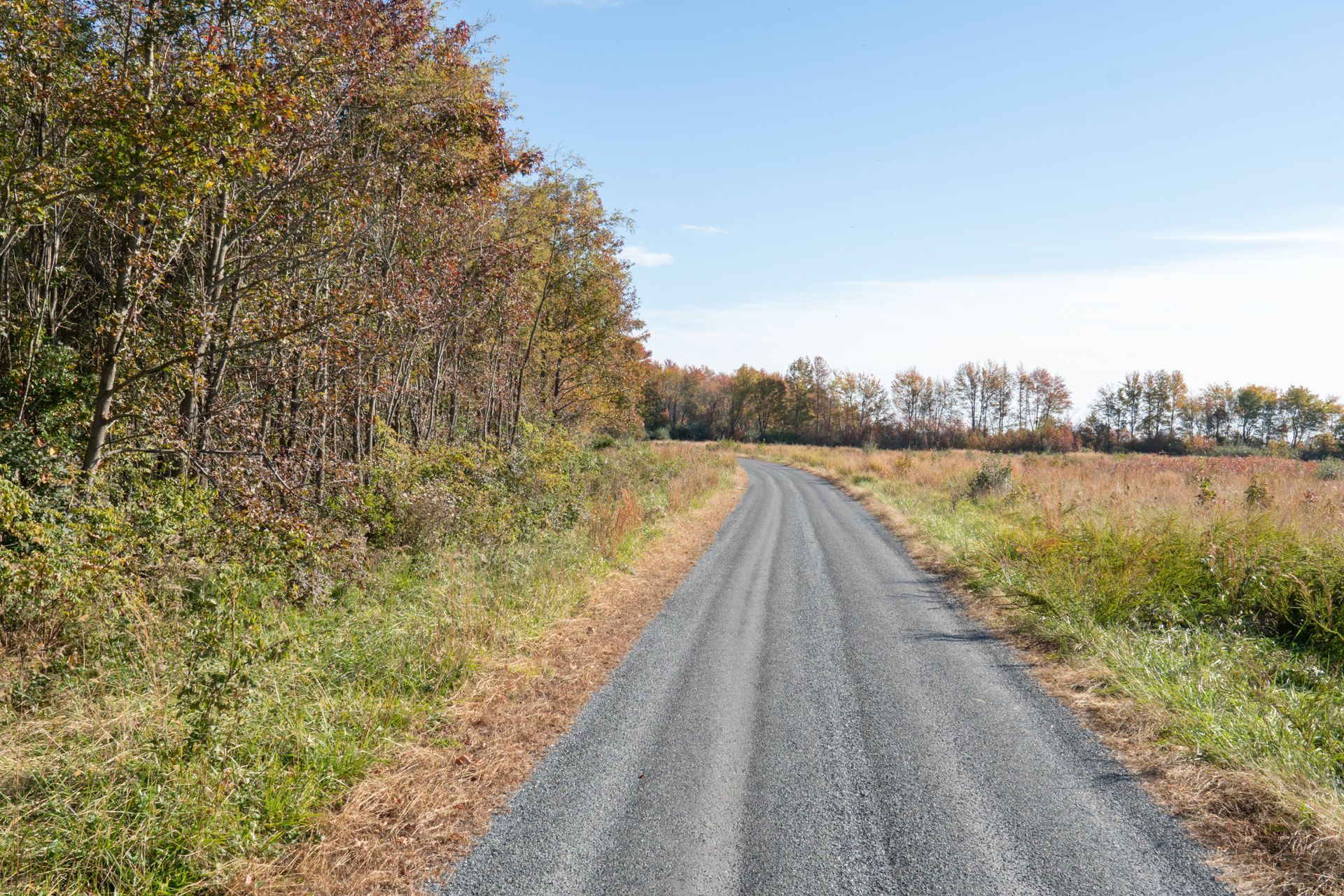 A farm lane winding its way between a treeline and a field at Tates Creek Paving near Lexington, Ken