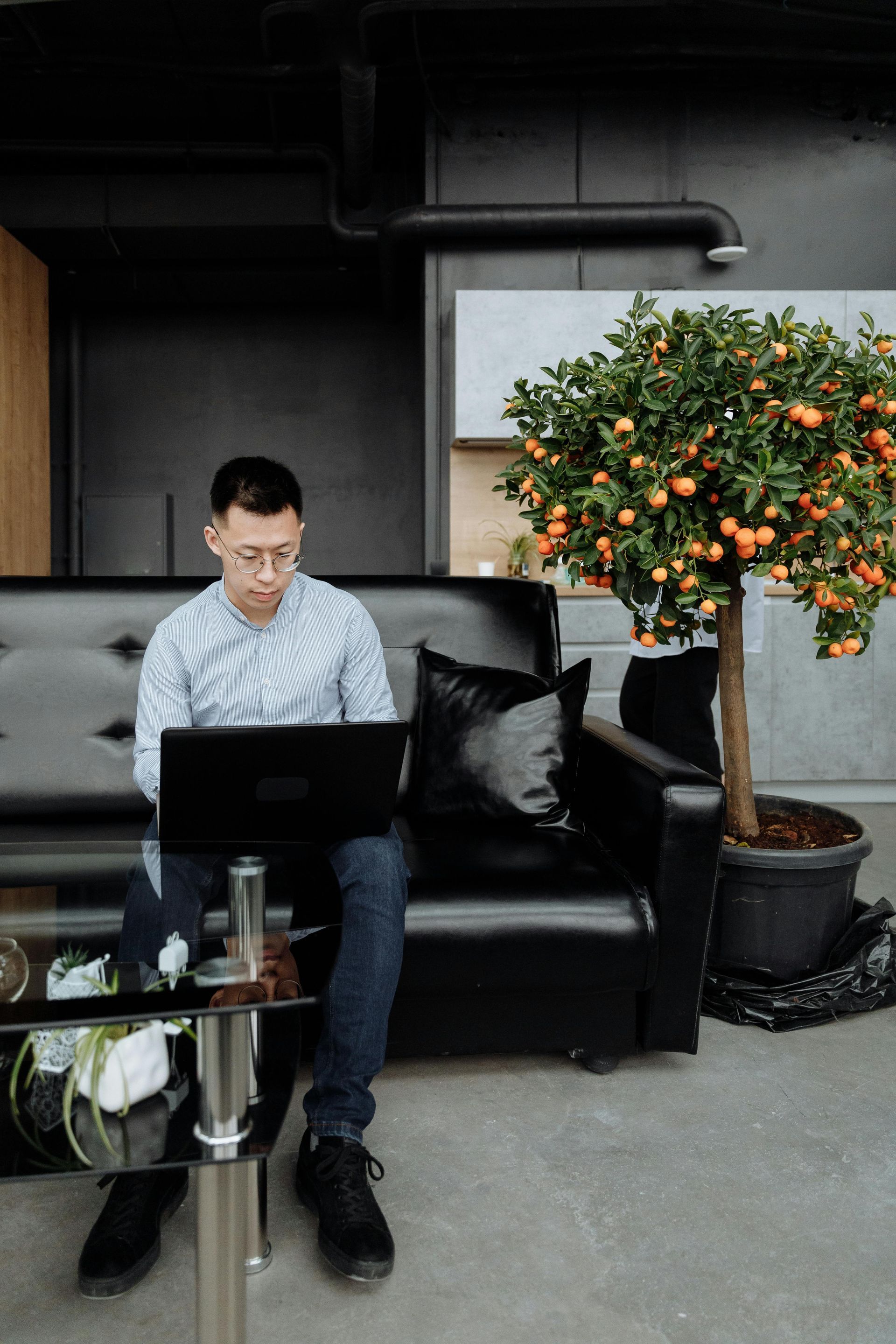 Man sitting on a black couch using a laptop beside a potted orange tree in a modern patio.