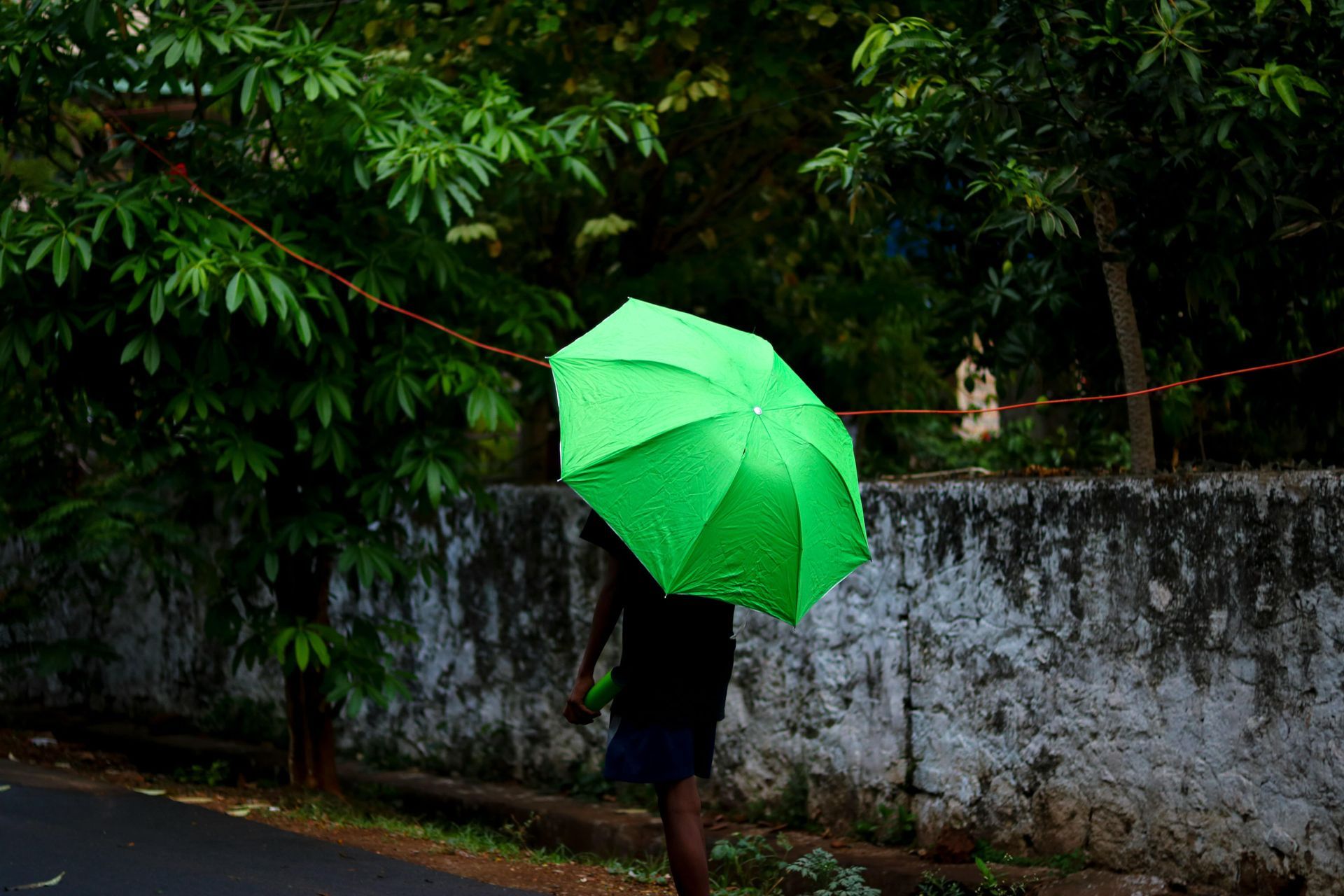 A person is walking down the street with a green umbrella.