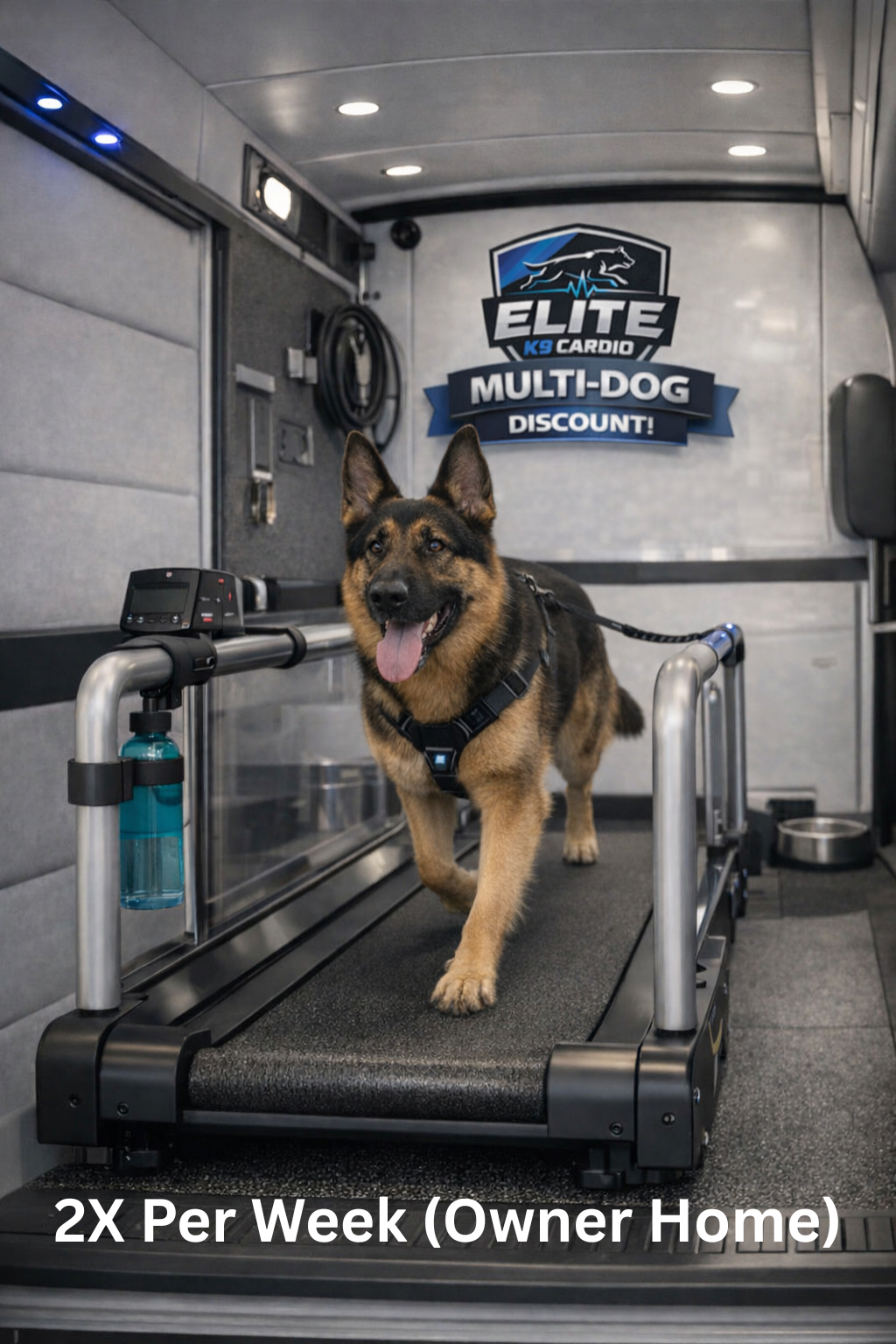 German shepherd on a treadmill inside a pet training van with “Elite Multi-Dog Discount” sign.