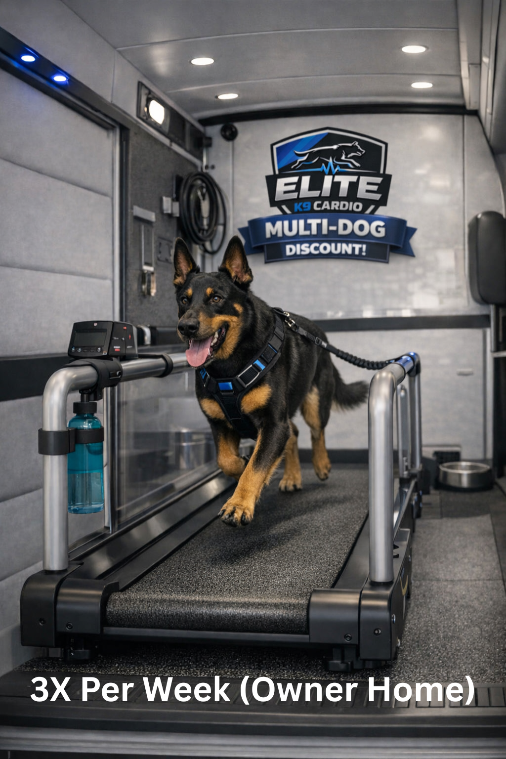 German Shepherd on a treadmill in a training room with “Elite Multi-Dog Discount” sign, “3X Per Week” text