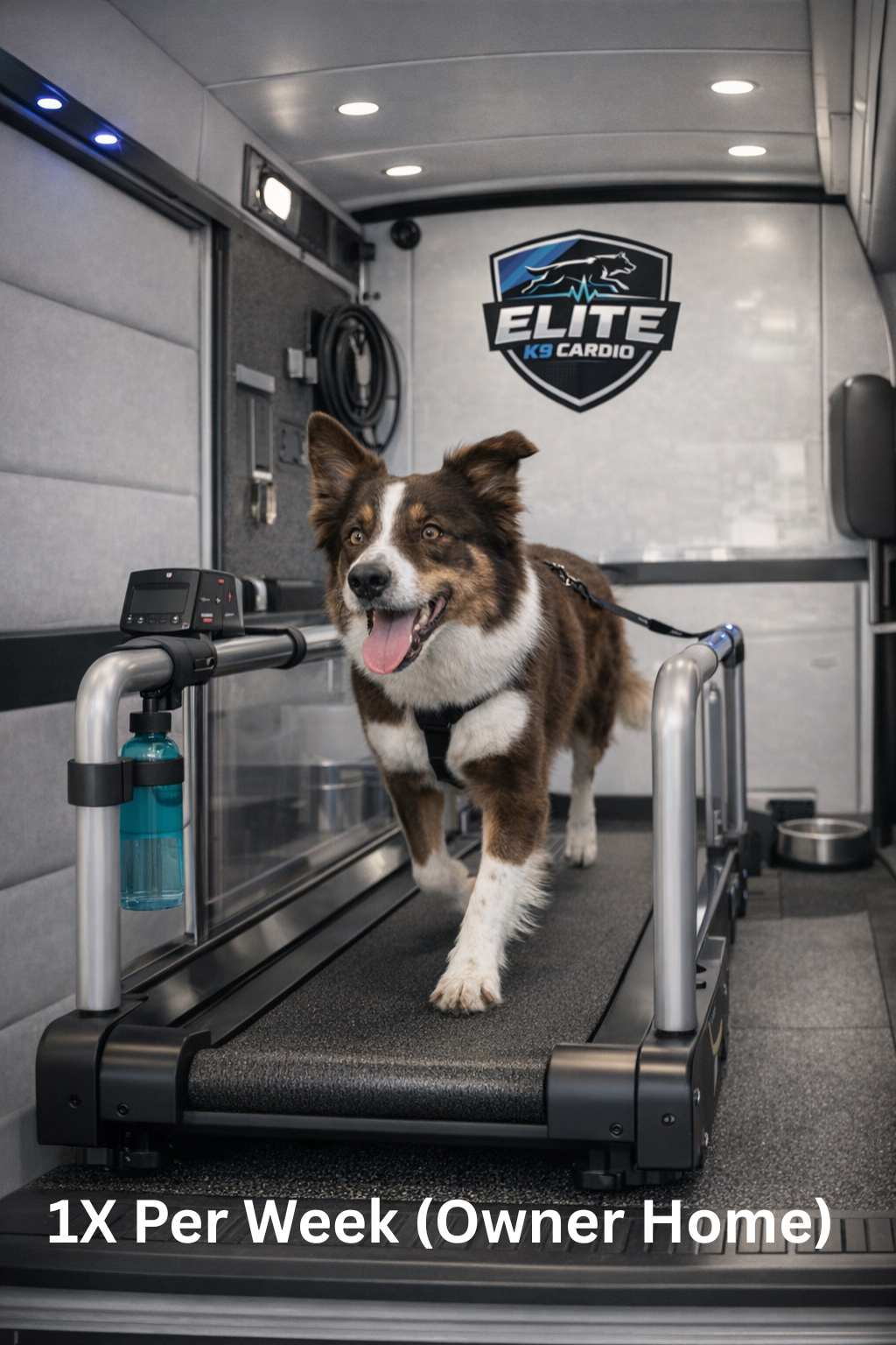 Dog walking on a treadmill inside a grooming van, with “Elite” logo and “1X Per Week” text.