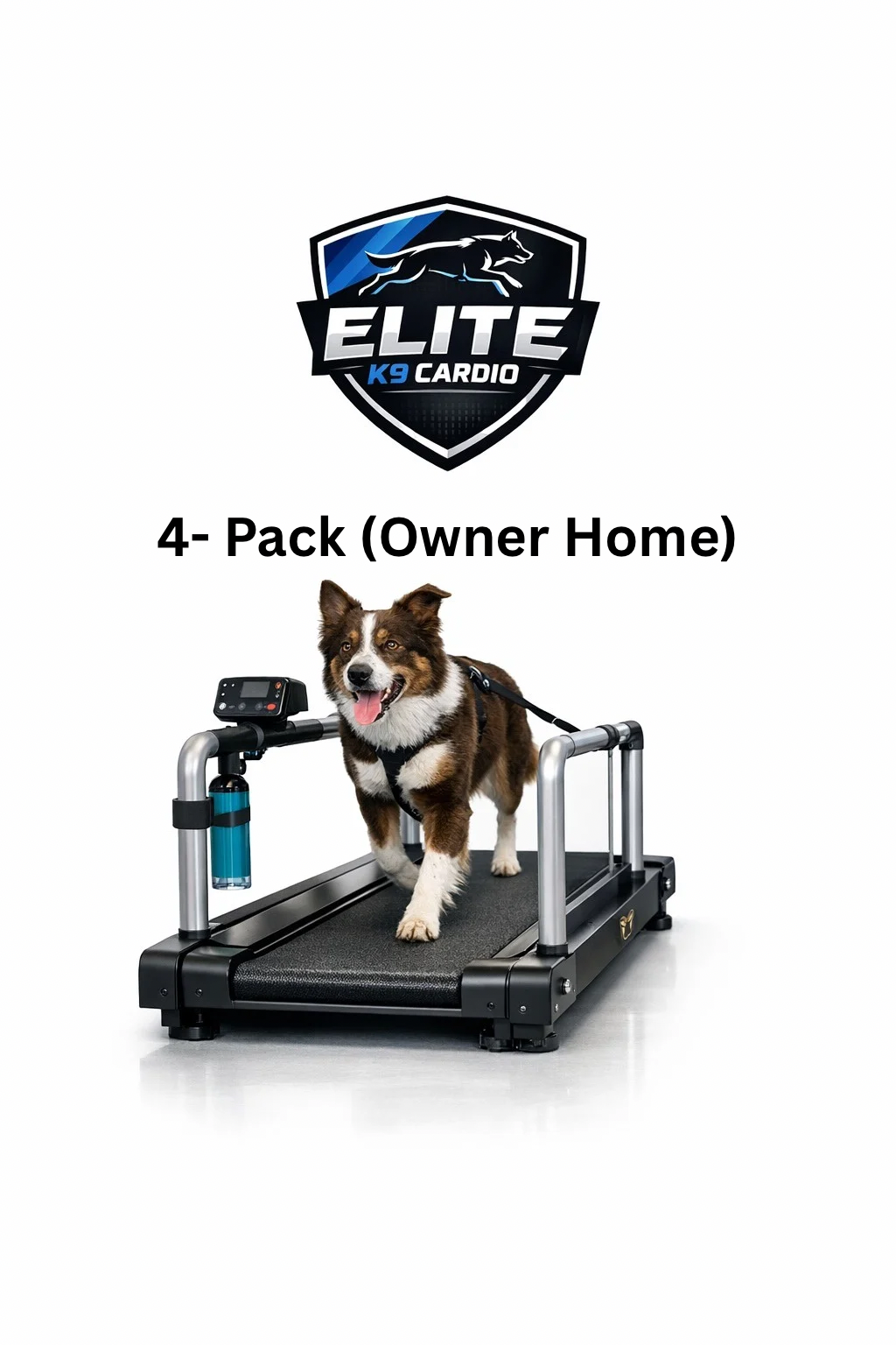 Dog on a treadmill with ELITE dog care logo and “4-Pack (Owner Home)” text