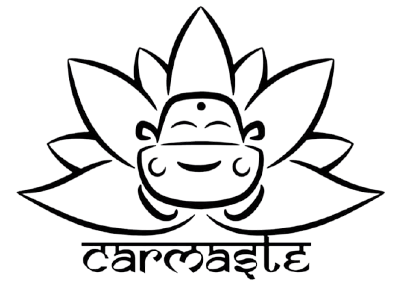 carmaste logo