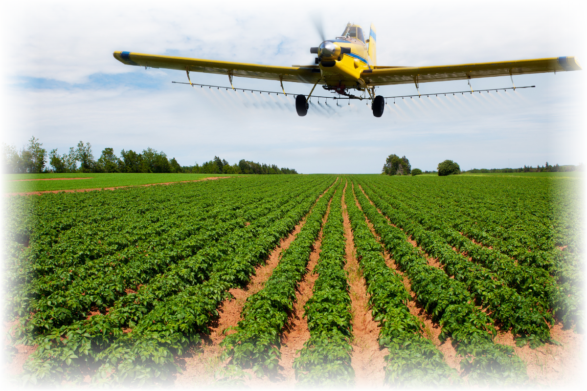 8 web design opportunities for crop dusting companies