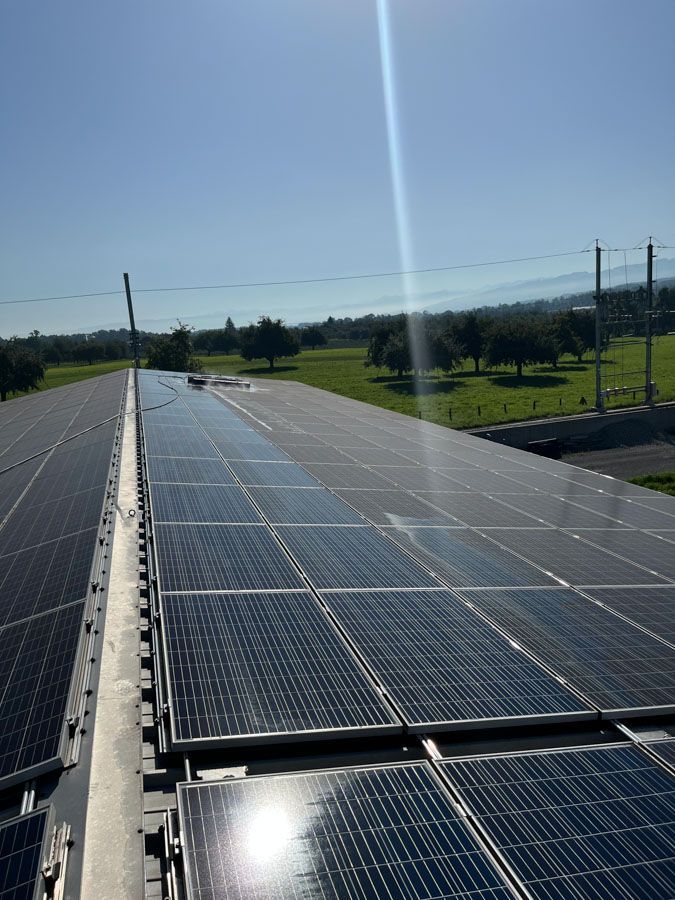 Sonnenkollektoren auf einem Dach vor blauem Himmel, Sonnenlicht reflektiert. Grünes Feld und Bäume in der Ferne.