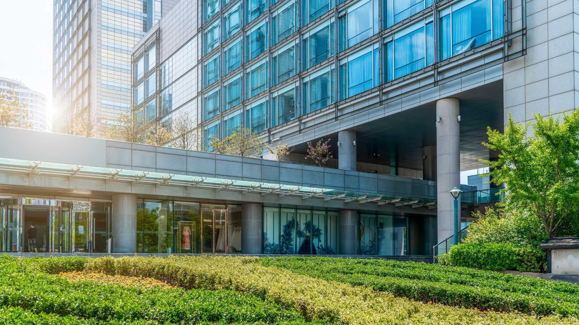 Modern glass office building entrance with landscaped greenery and bright sunlight