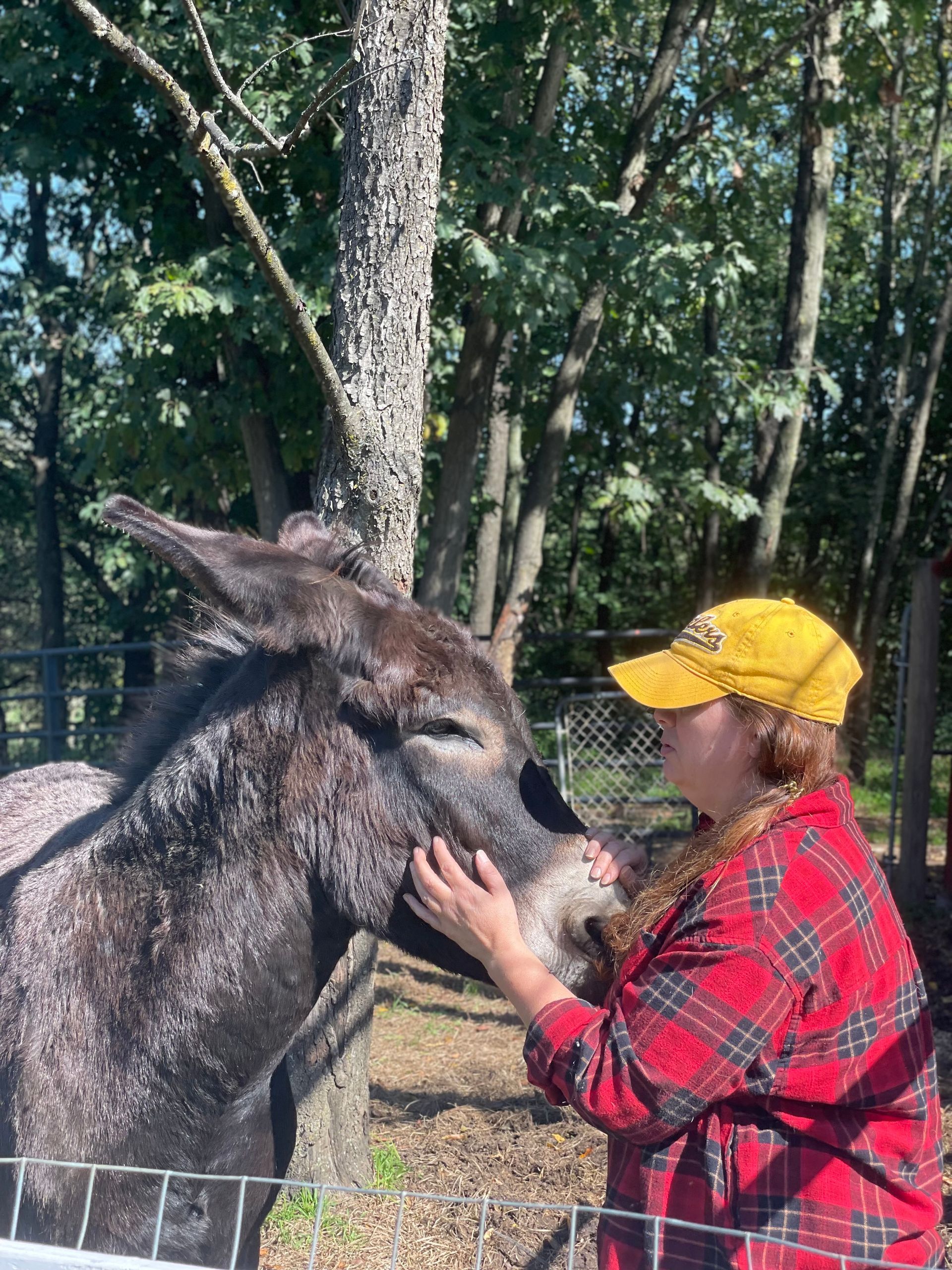 Volunteers working with horses and donkeys in New Tripoli, PA horse rescue