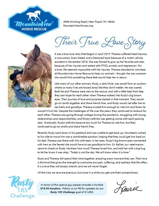 Story about love and healing for a gal who overcame a terrible car crash and bonded with a mule Rusty at the Mountain View Horse Rescue in New Tripoli, PA