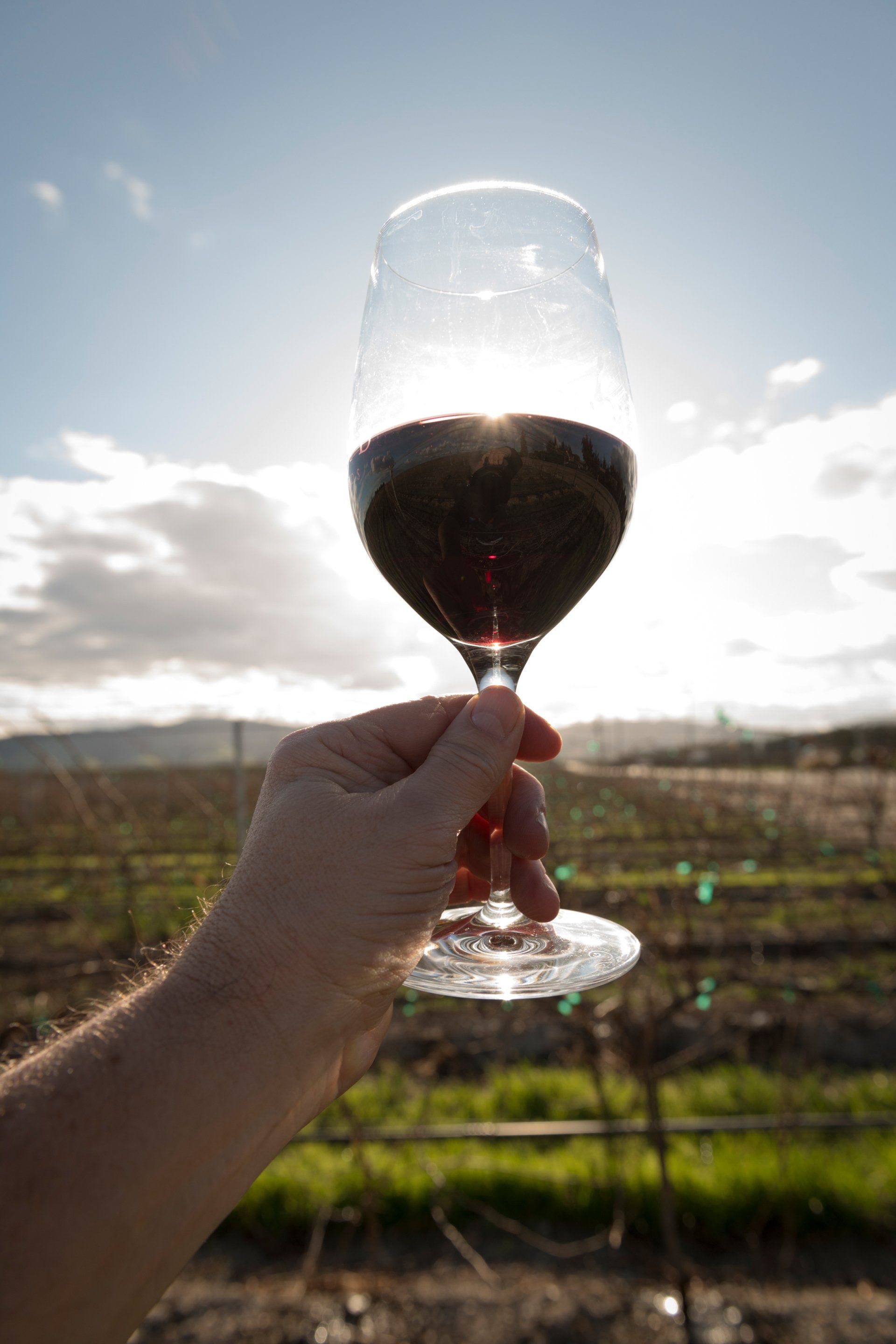 A hand is holding a glass of wine in front of a field