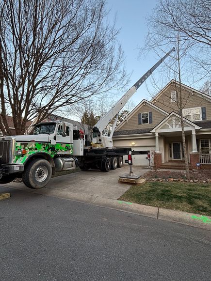 tree service asheville