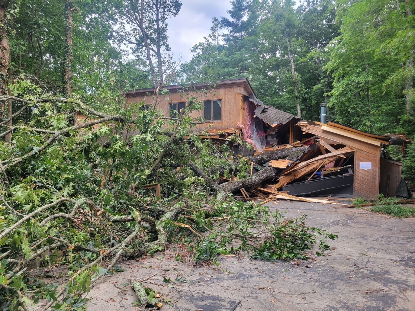 emergency tree removal asheville nc