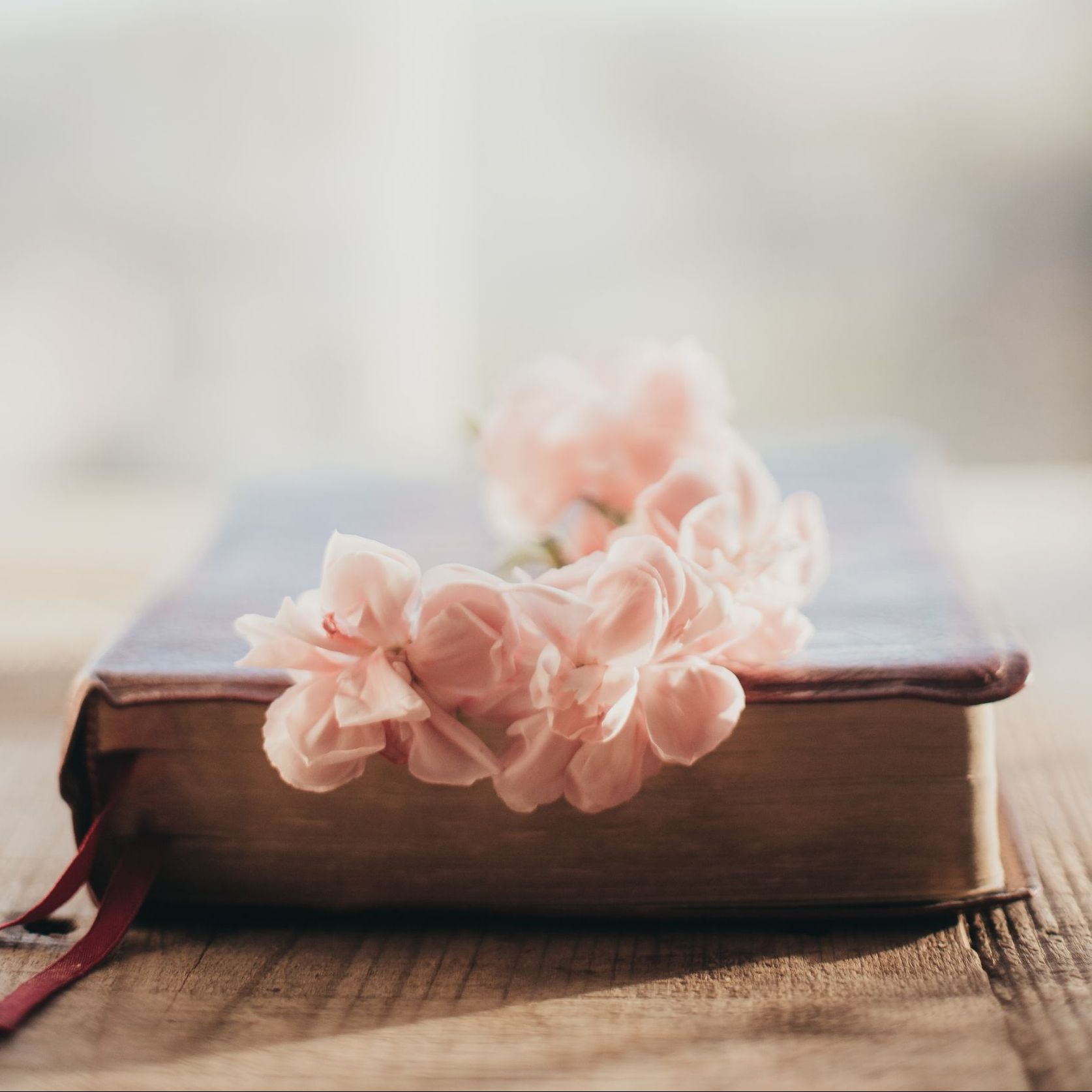 A weathered book with a red ribbon bookmark sits on a wooden surface, topped with a delicate cluster of pale pink flowers.