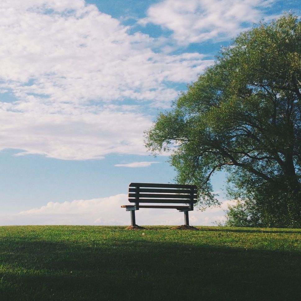 A wooden bench sits alone on a grassy hill under a bright, cloudy blue sky next to a large, leafy tree.