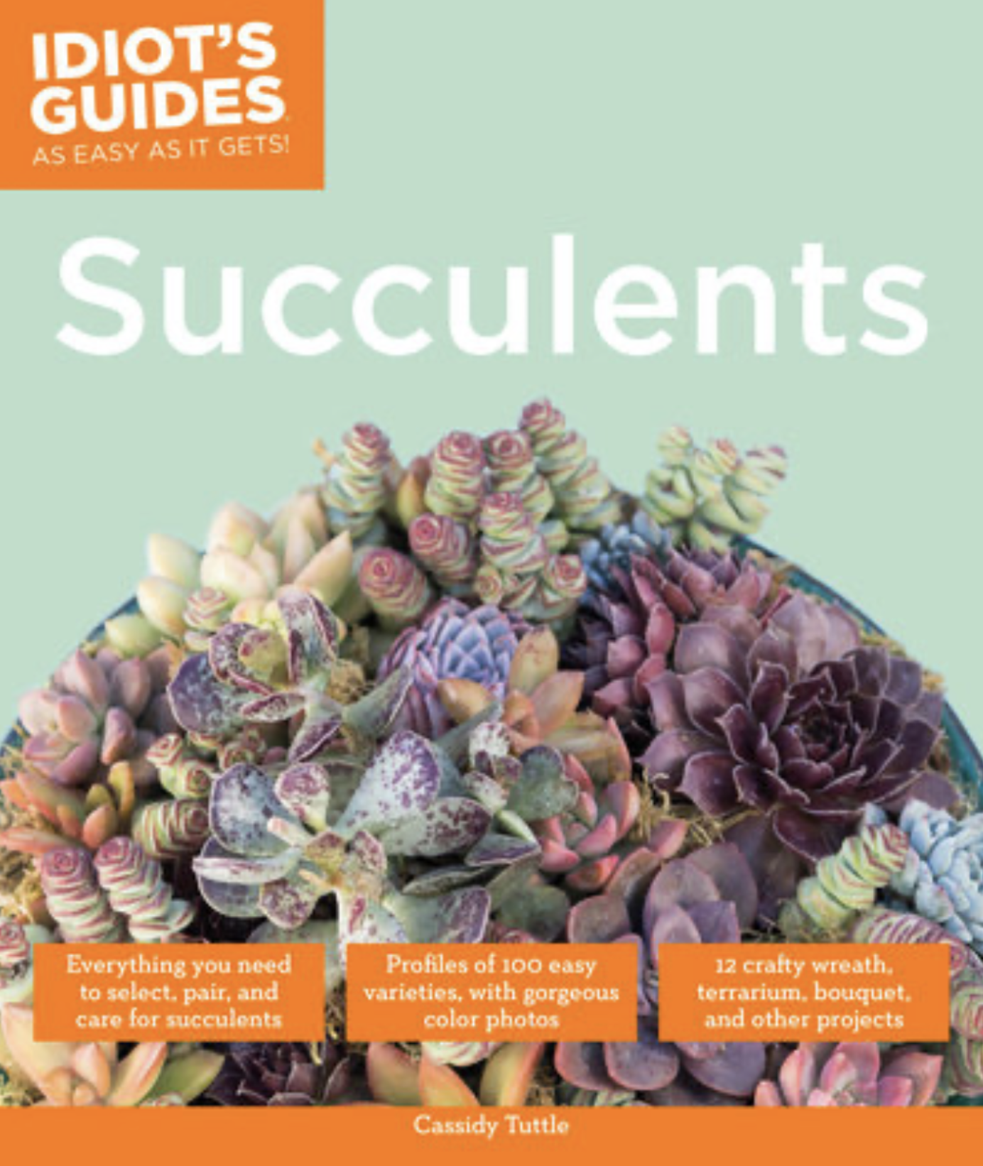 Cassidy Tittle  - Idiot'S Guide Book on Succulents - Blogging Coach