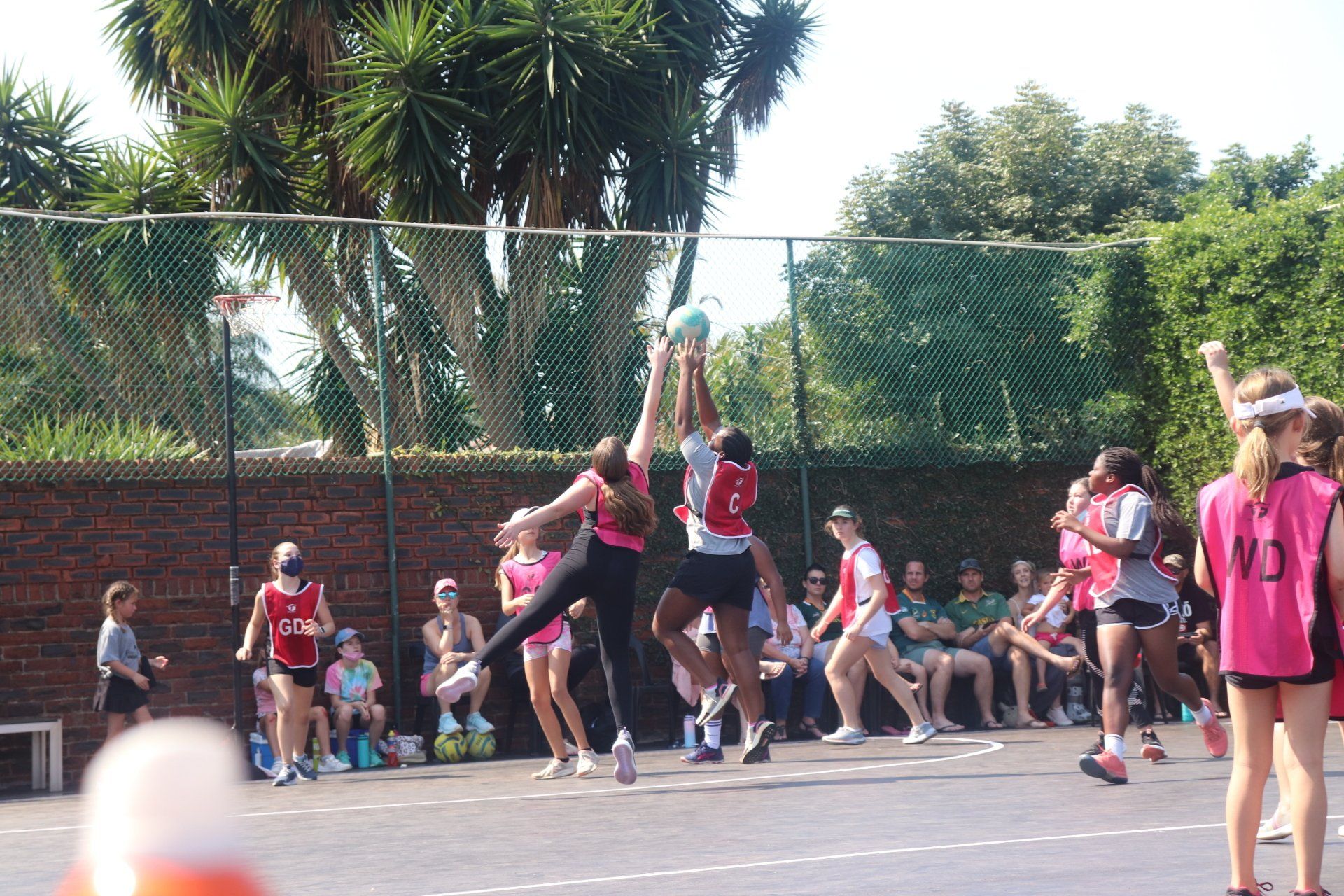 FitnessAlive Netball Club