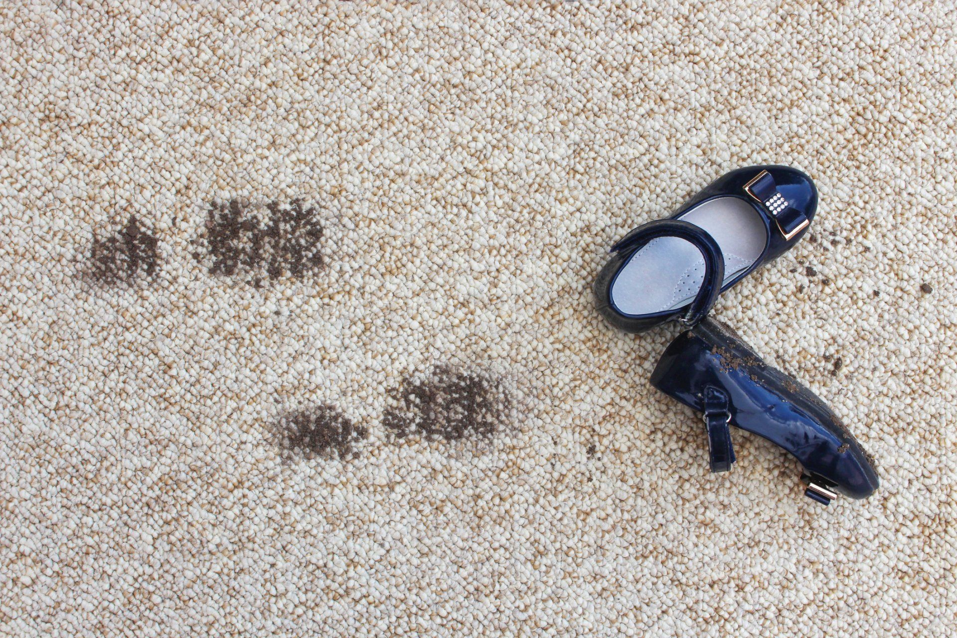 Rug Cleaners | Tonawanda, NY | Master Rug Cleaner Carpet