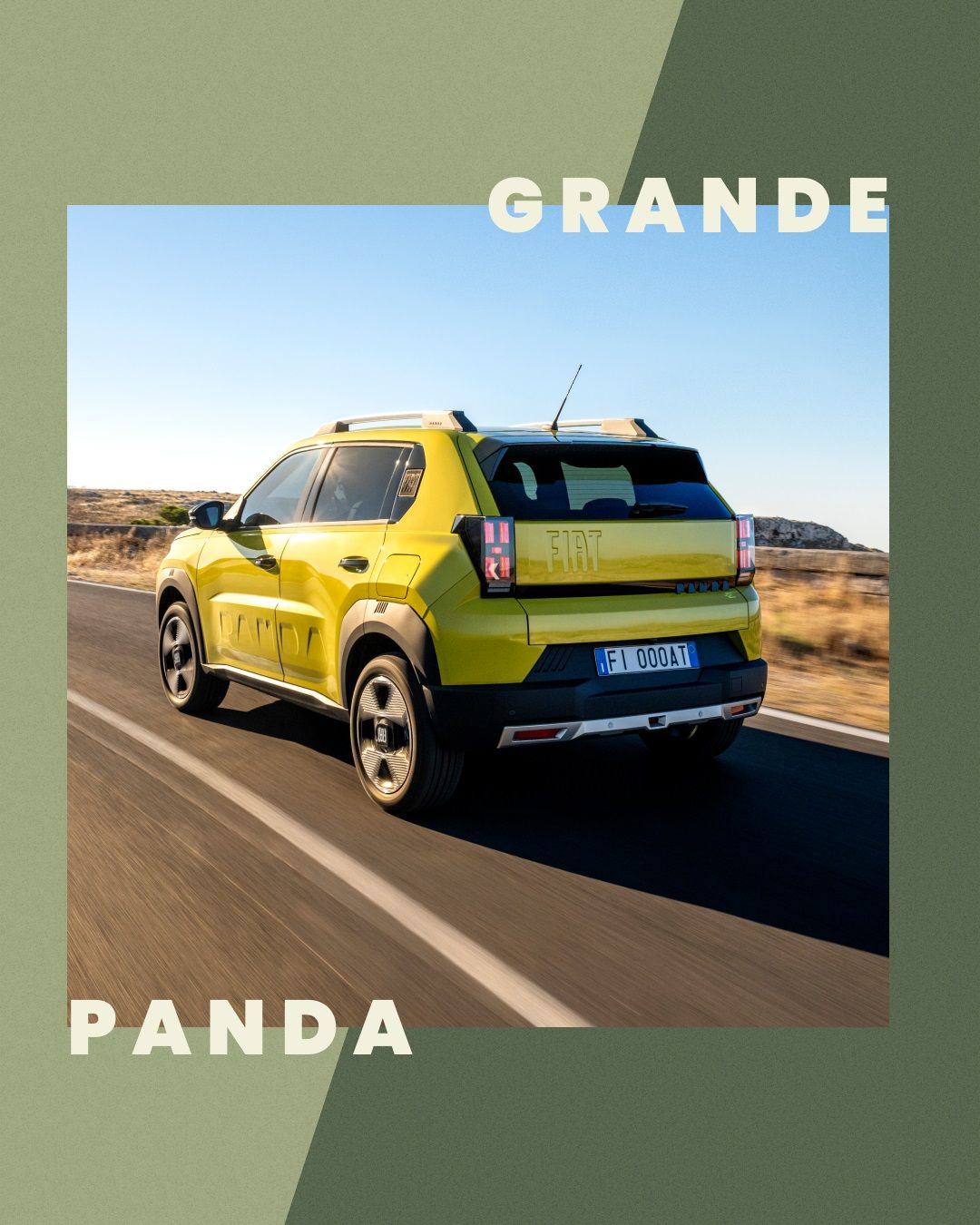 Panda