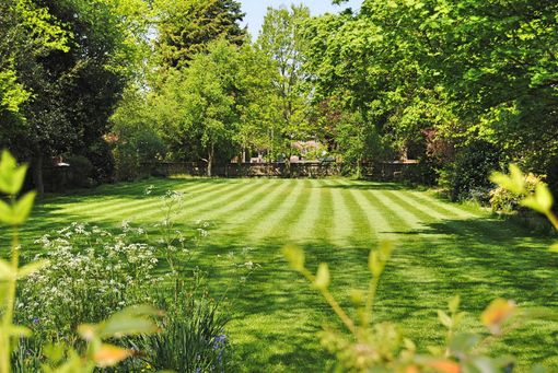 A lush green lawn with trees in the background