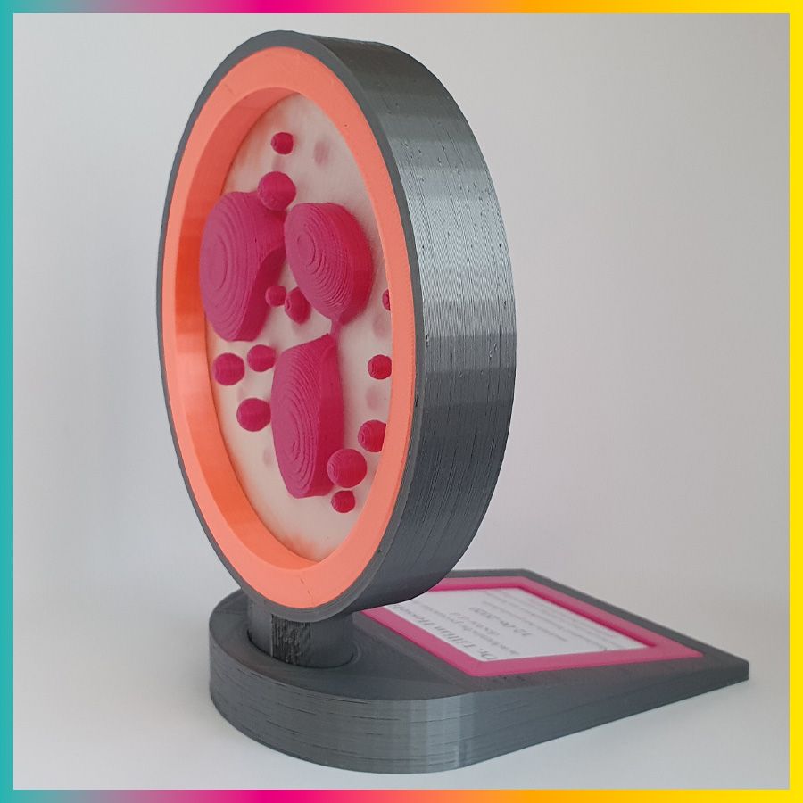 3D Kado ter gelegenheid promotieonderzoek