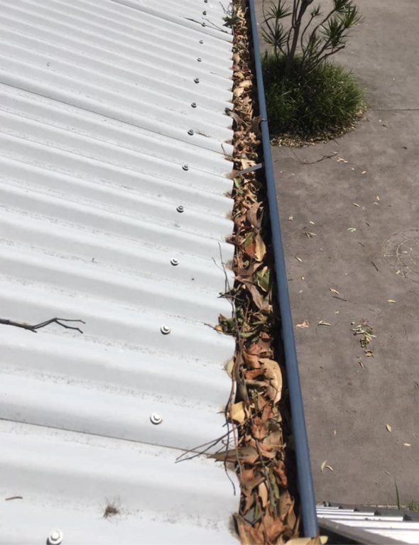 Gutter With Dried Leaves — Gutter Cleaning In Shoalhaven, NSW
