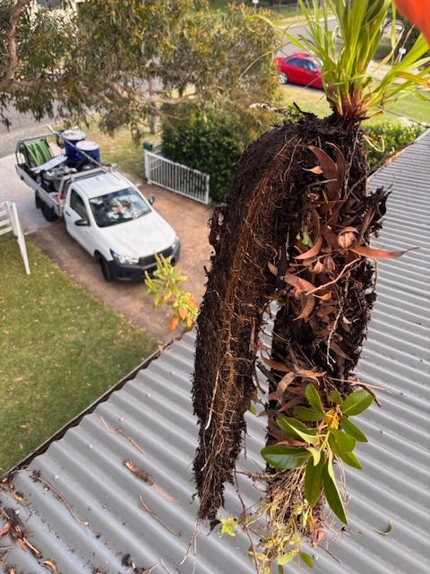 Newly Installed Gutter On Tin Roof — Gutter Cleaning In Shoalhaven, NSW