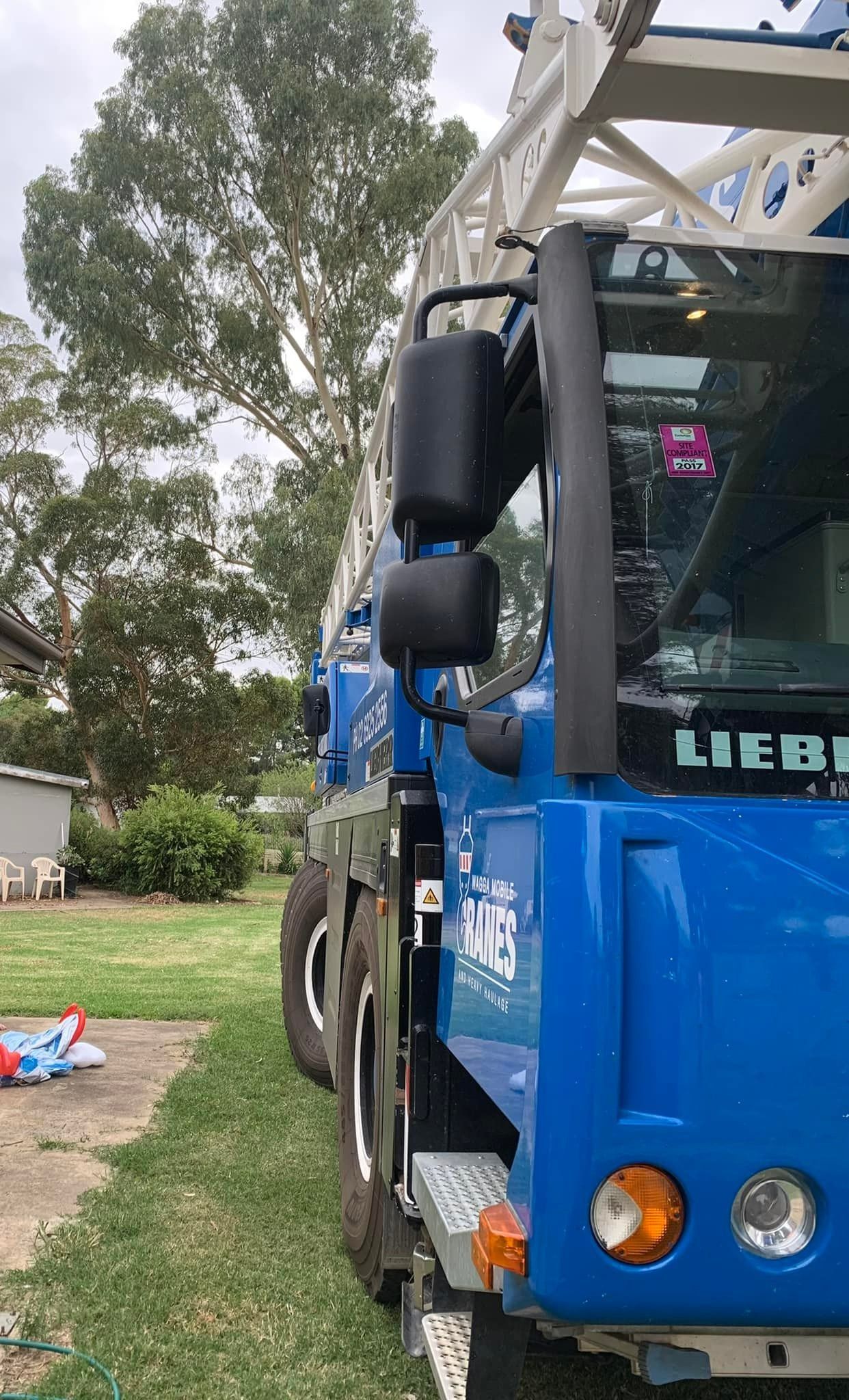 Blue Liebherr Crane Parked on a Grassy Lawn — Riverina Tree Fellas in Gobbagombalin, NSW