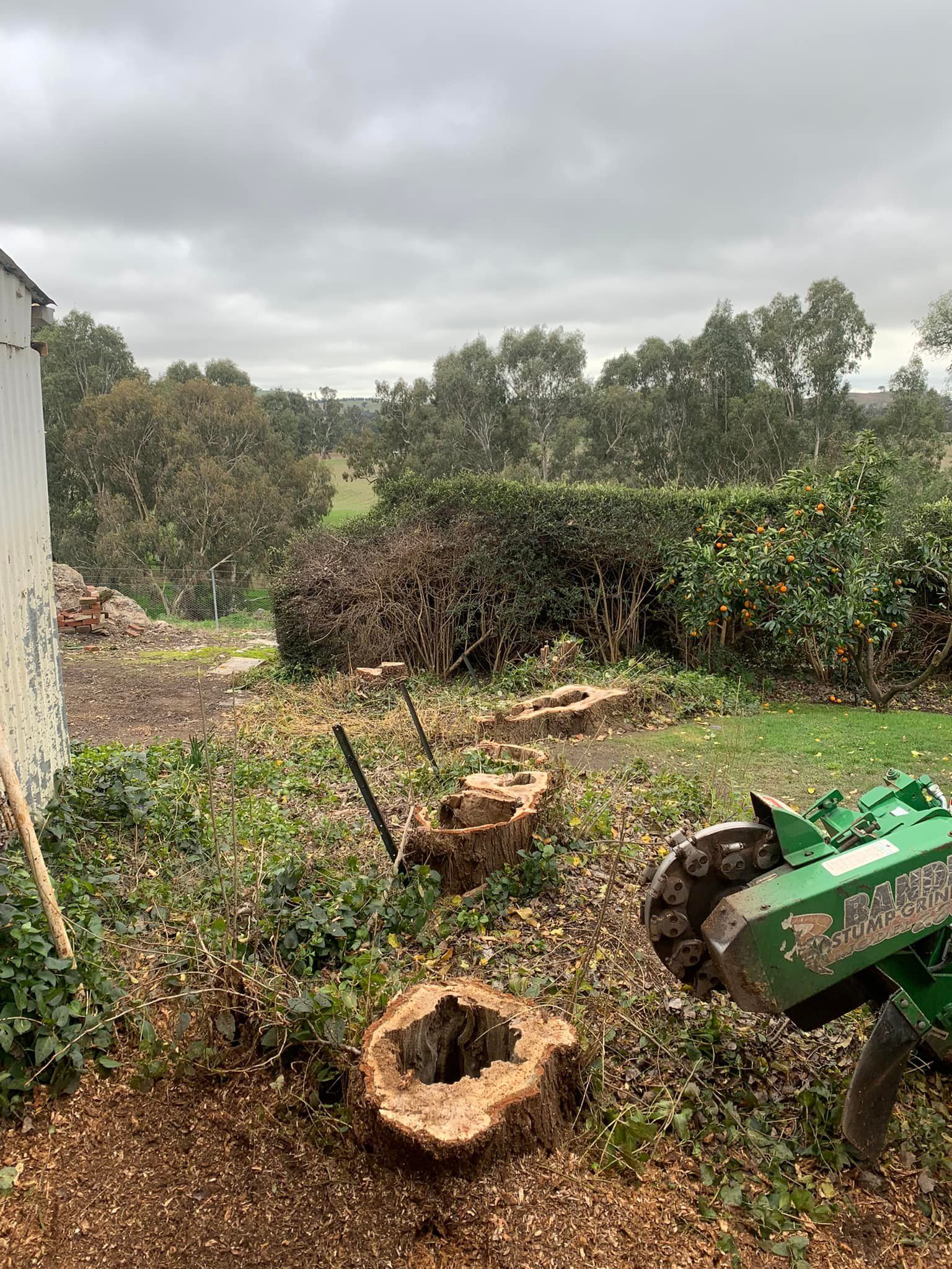 Stumps and debris in a yard with a tree stump grinder. Cloudy sky, trees in the background. — Riverina Tree Fellas in Gobbagombalin, NSW