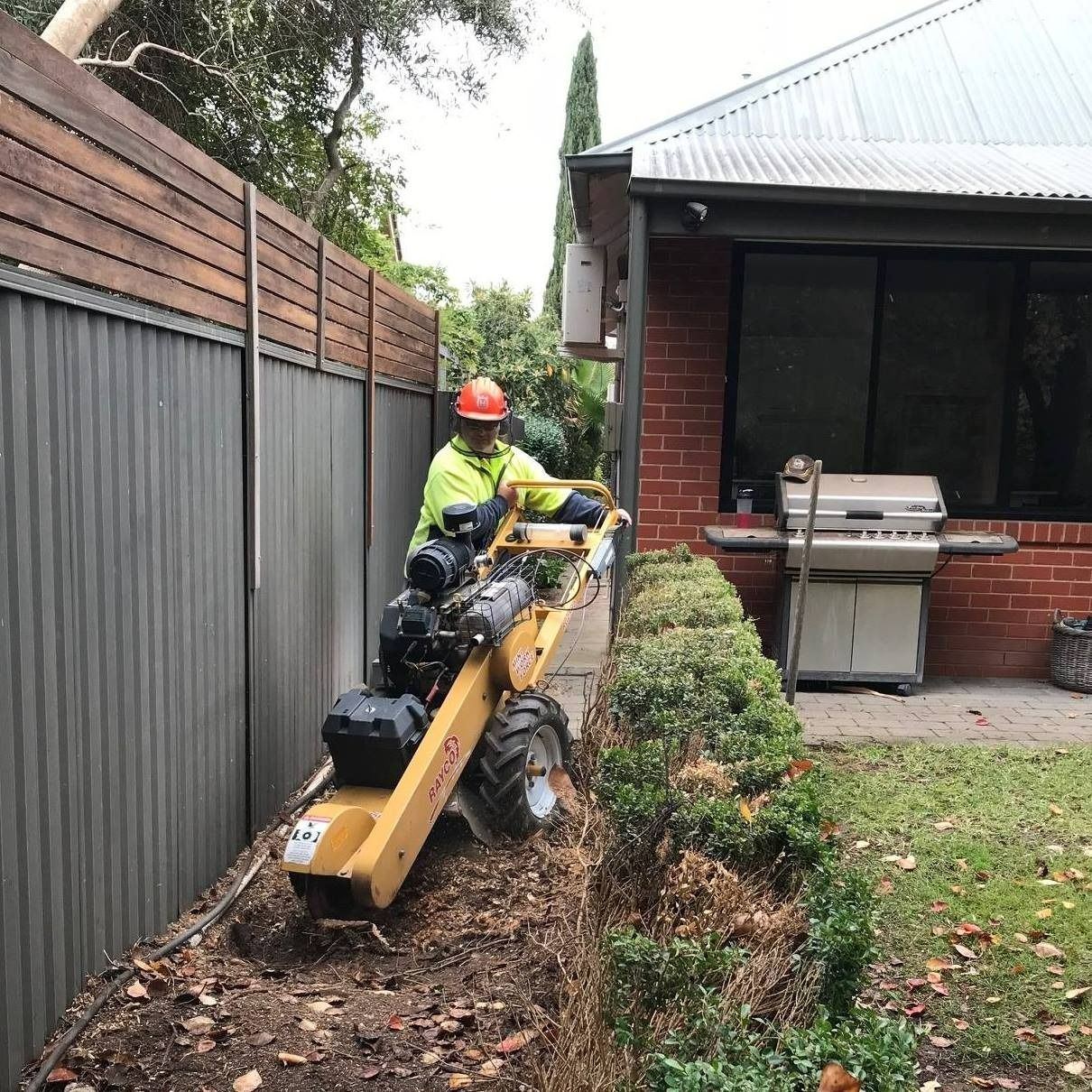 Person Operating a Stump Grinder — Riverina Tree Fellas In Tumut, NSW