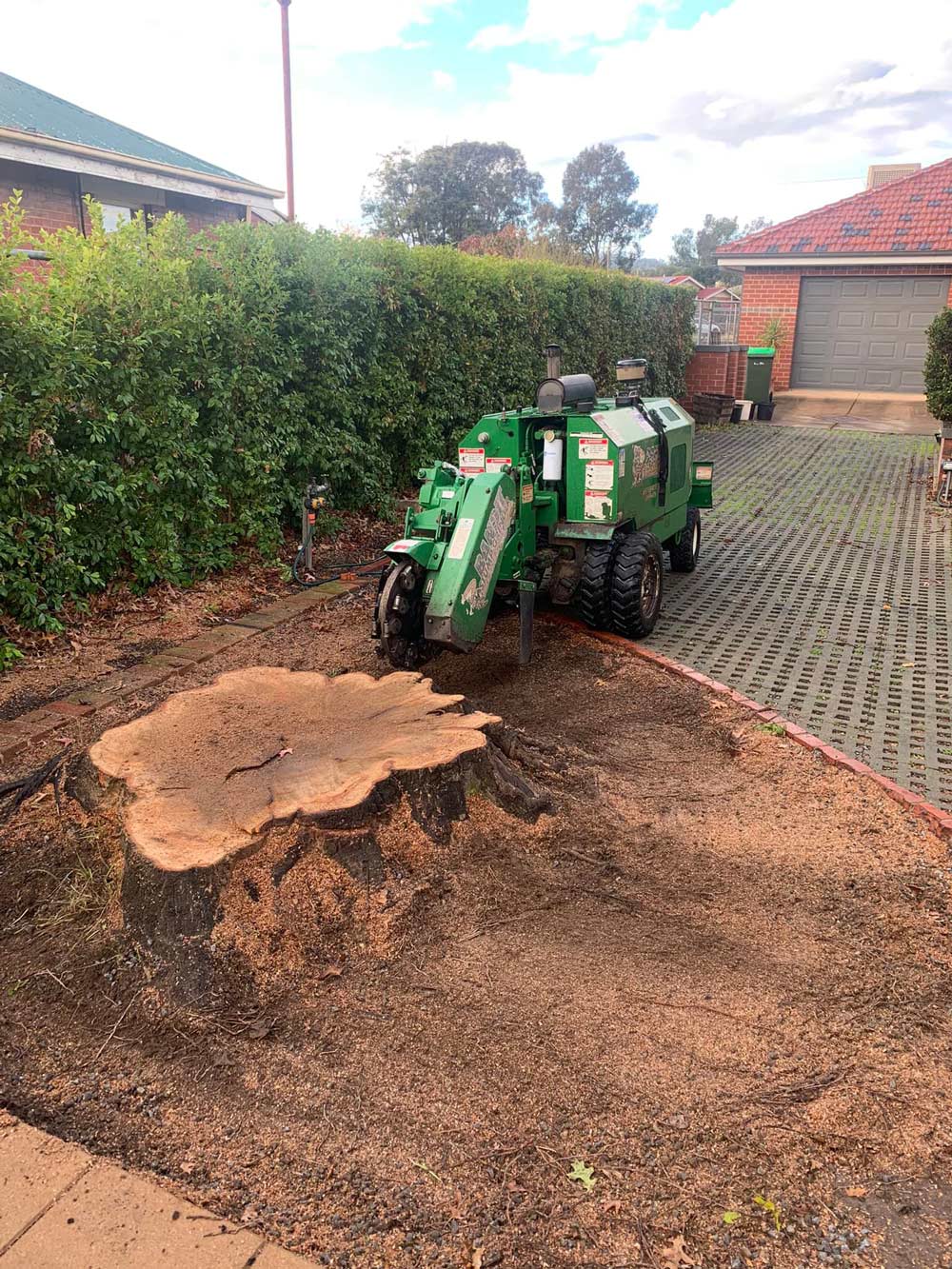 Residential Stump Grinding — Arborist in Wagga Wagga NSW