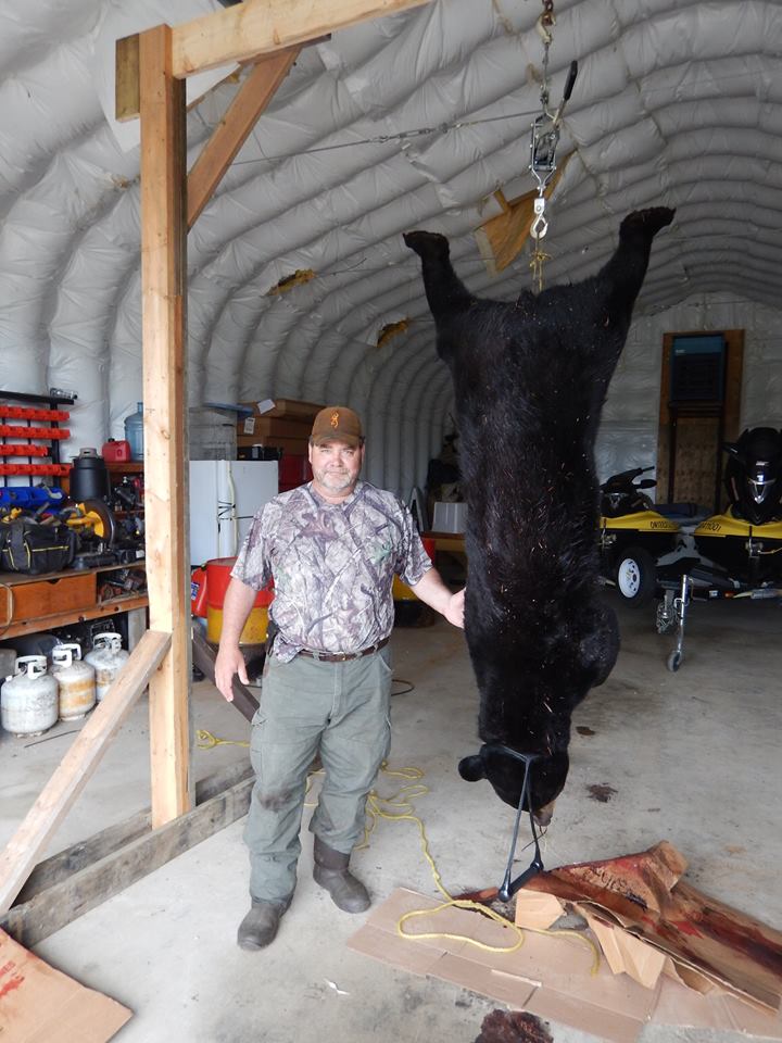 A man is standing next to a large black bear that is hanging upside down