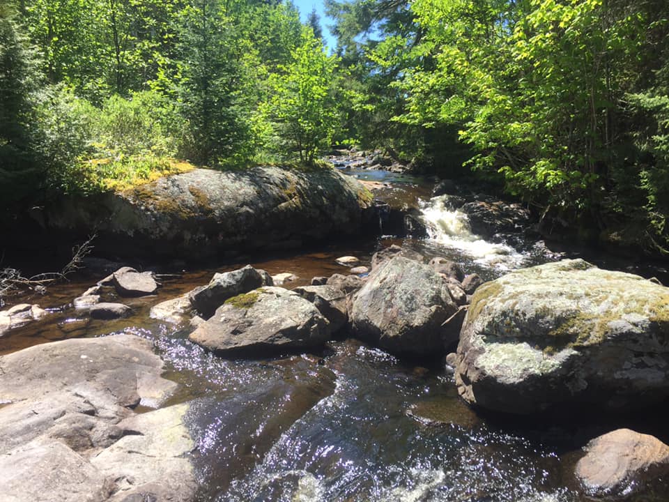 A river flowing through a forest surrounded by rocks and trees.