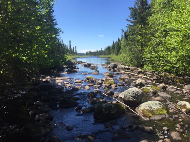 A river surrounded by trees and rocks on a sunny day