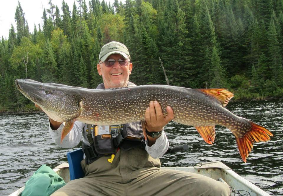 A man in a boat is holding a large fish